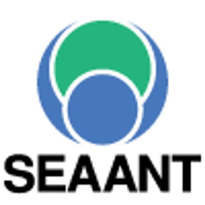 SeaAnt Web Technologies
